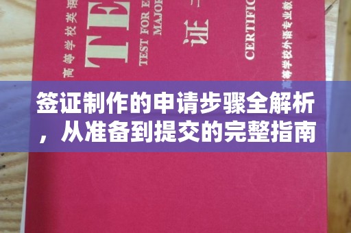 东兰签证制作的申请步骤全解析，从准备到提交的完整指南
